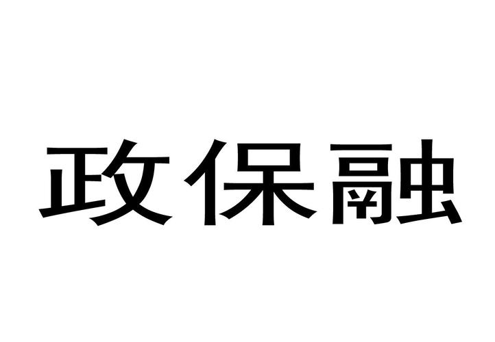 什么是政保？政保项目-图3