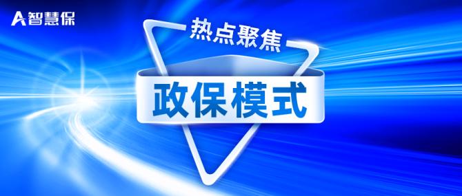 什么是政保？政保项目-图2