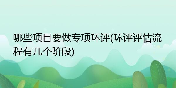 重大工程需要环评、稳评、能平和哪些评估？项目评估方法有哪些-图2