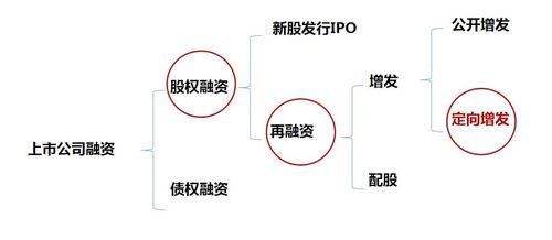 定增融资什么意思？定向增发项目融资类-图3