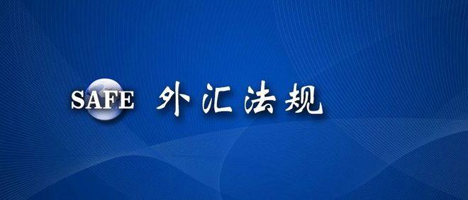 什么是外汇经常项目？境内机构经常项目外汇-图3