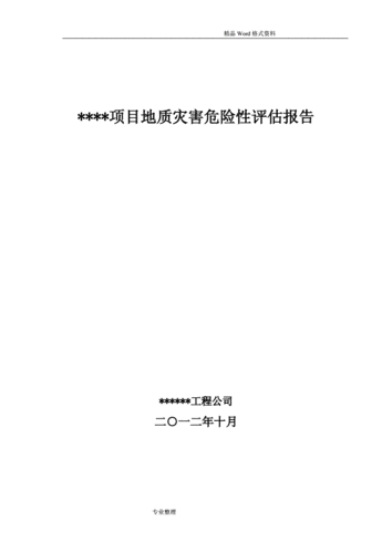 如何写地质灾害评估报告？项目项目资产评估报告-图2