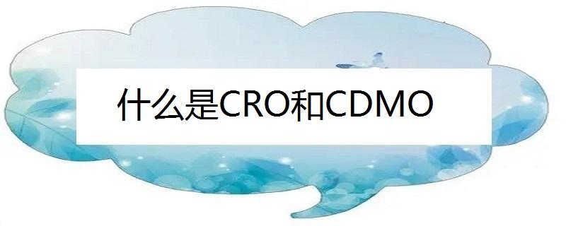 cro和cdmo有什么区别？cdmo 项目-图3