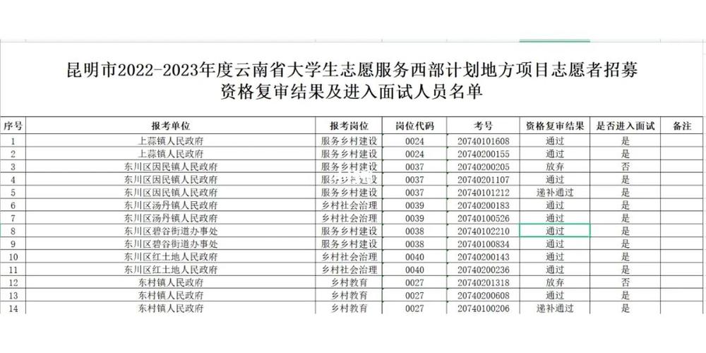 西部计划地方项目怎么填？地方 项目-图2