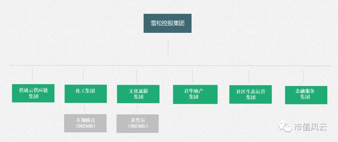 雪松控股房地产有哪些项目？雪松项目-图3