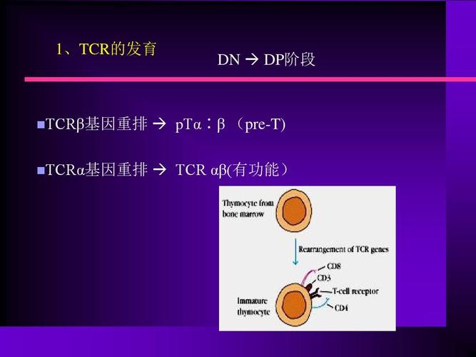 erc20和tcr20的区别？tcr项目-图3