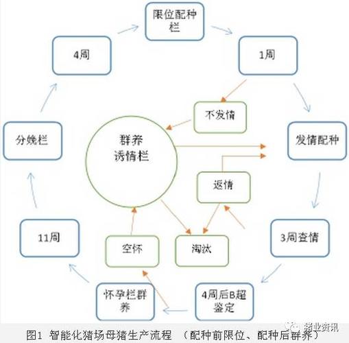 法半夏开荒及转型详细流程？转型项目流程-图3