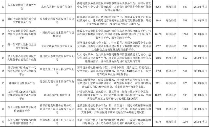 信息技术服务业项目名称概述？公司技术项目-图2