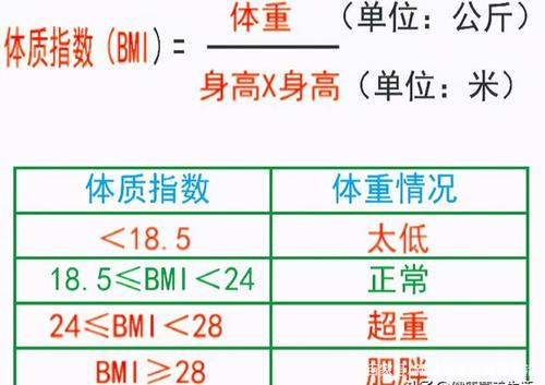 健康值的计算公式？项目健康指数-图3