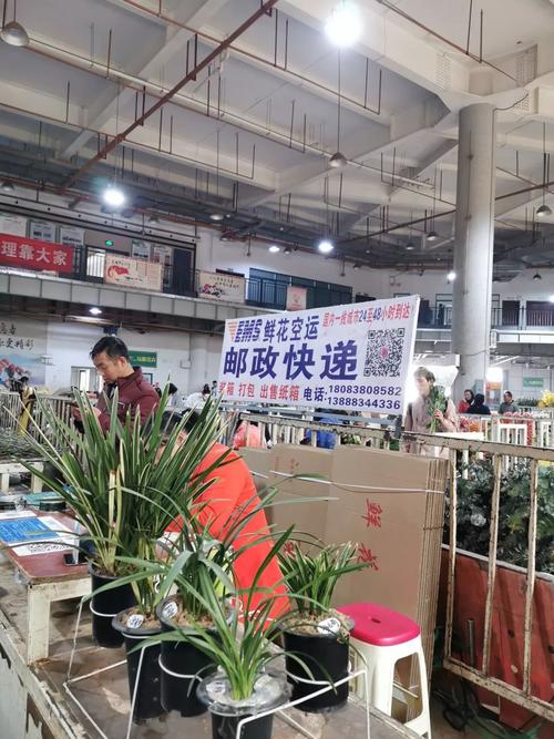 岭南花卉市场有顺丰冷链吗？花卉物流项目-图3