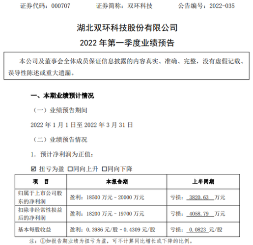 双环科技的现状？双环项目-图1