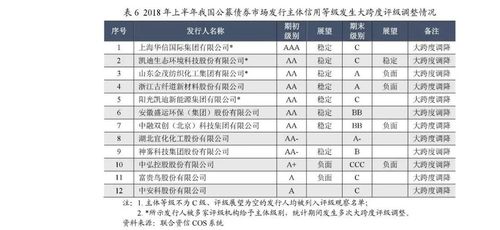 债券信用评级的主要内容有哪些？债券评级项目-图3