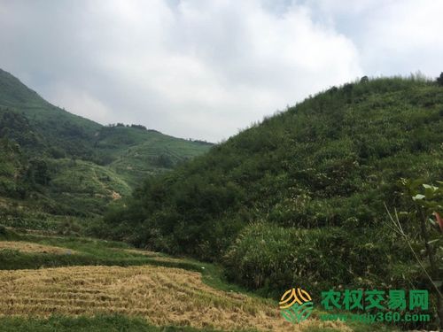 承包荒地或荒山可以开发建设吗？研发项目承包-图2