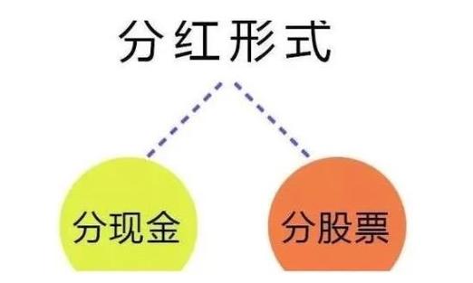 提成和分红的区别？股东项目提成-图2