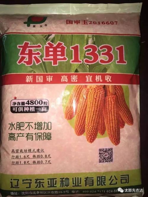 中科505与东单1331对比哪个更好？产量pk项目-图1