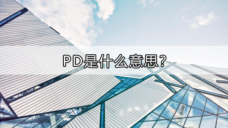 PD是什么意思？pd项目工程-图1