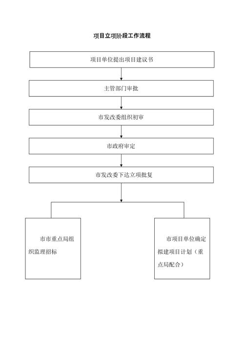 国企项目立项流程？集团项目立项-图1