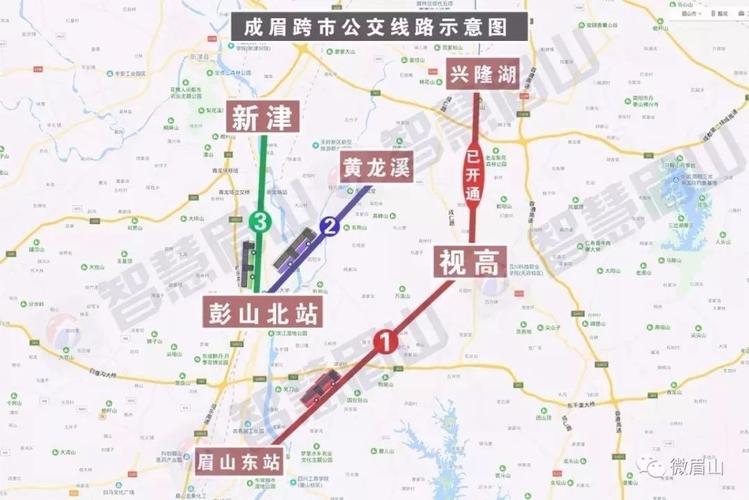 黄龙溪有地铁站吗？保利新津项目-图1