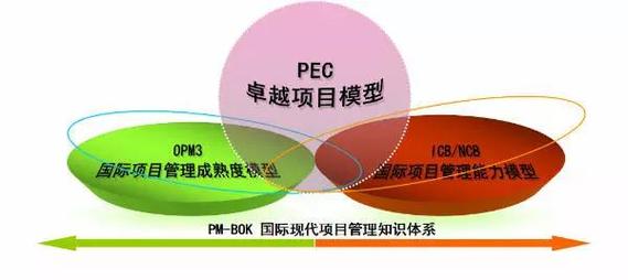 什么是PE项目？项目管理pe-图1