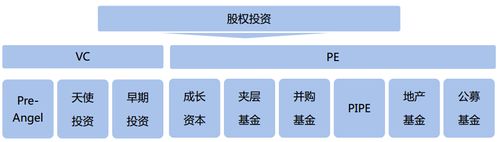 包含所有创新项目和股权叫什么股？介绍股权项目-图2