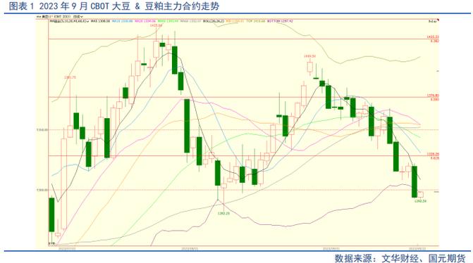 美豆主力合约是哪个？美金项目套利-图2
