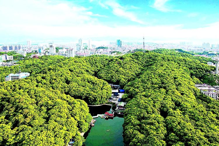 岳阳市架子山公园什么时候修建？岳阳 绿化 项目-图3