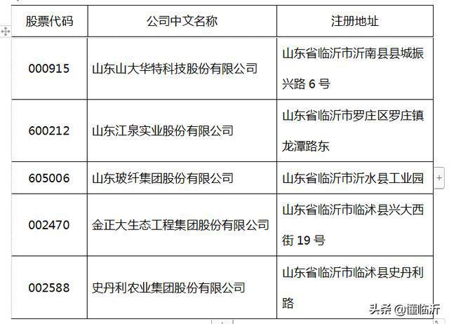 临沂几家上市公司？上市项目描述-图1