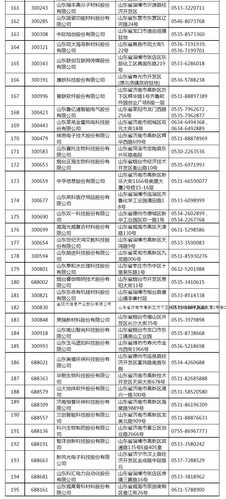 临沂几家上市公司？上市项目描述-图3