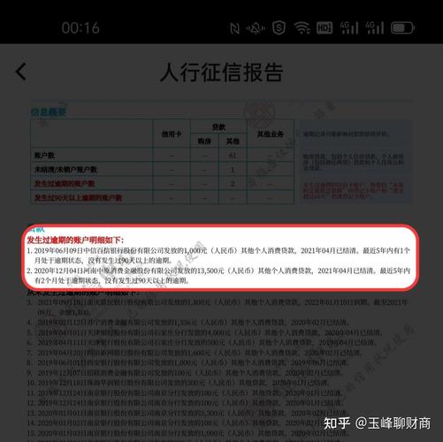 征信显示催收是什么意思？项目催款报告-图1