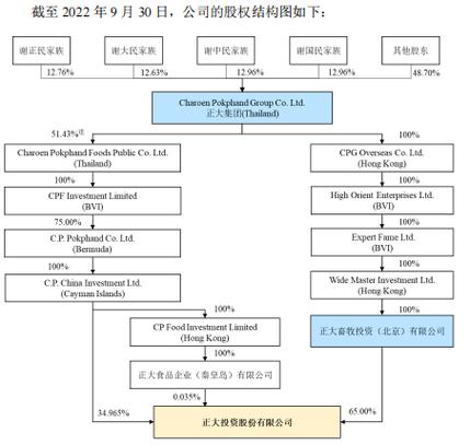 奥库斯集团指什么？遍及全球 项目-图2