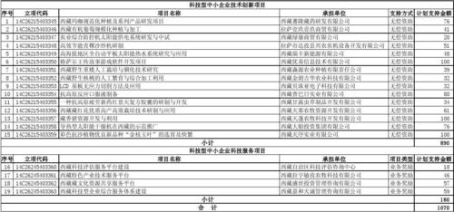 研发的项目类别指哪几类？公司研发项目-图1