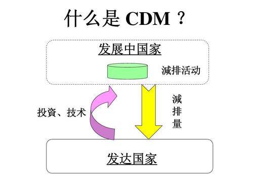 人事cdm什么意思？cdm项目政策-图1