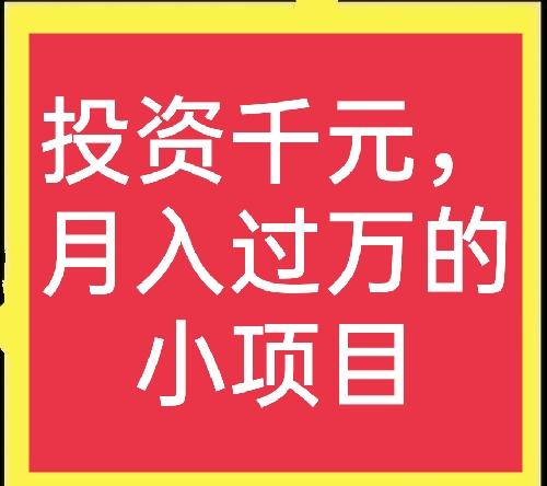 一天收入1000元左右，有哪些致富项目？优质项目 资金-图3