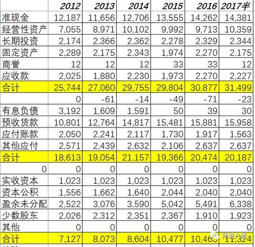 属于负债项目的是什么？项目债务情况-图1