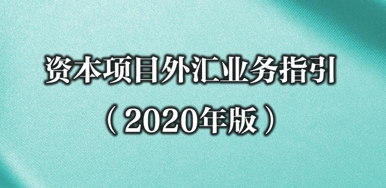 个人资本项目包括什么？外汇 个人项目-图1