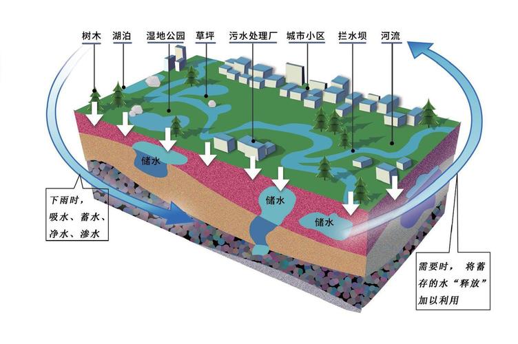 海绵城市包括哪些工程项目？海绵的项目-图3