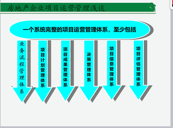 项目实施阶段包括哪些内容？项目运营包括-图3