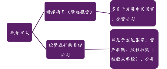 绿地投资和跨国并购各有什么利弊母国东道国？大型跨国绿地项目-图3