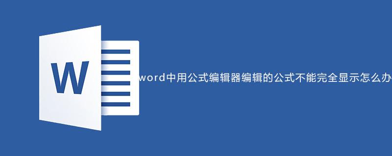 在word2010中的公式进行编辑修改时候说找不到服务器应用程序，源文件或者项目怎么办？项目情况应用介绍-图1