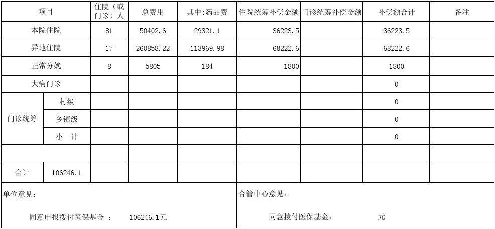 医保结算表是什么意思？项目制结算表-图2