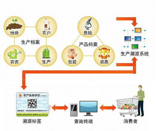 追溯系统是什么？追溯体系项目概况-图3