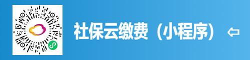 通过社保云缴费可以缴纳哪种保险？推出云缴费项目-图2