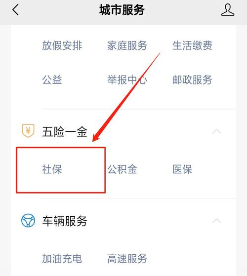 通过社保云缴费可以缴纳哪种保险？推出云缴费项目-图1