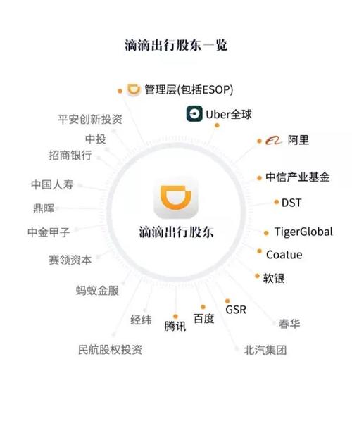 滴滴代驾股份结构？滴滴股权项目投资-图2