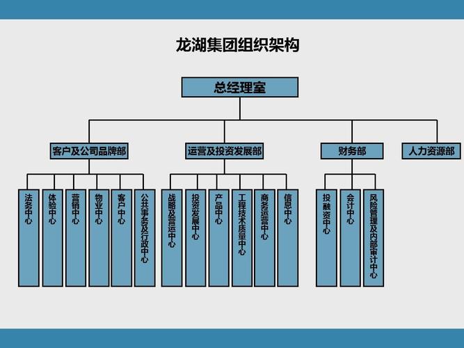 龙湖集团股权结构？龙湖项目营销架构-图1