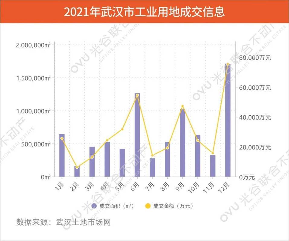 2021武汉地产开发商排名？武汉产业地产项目-图3