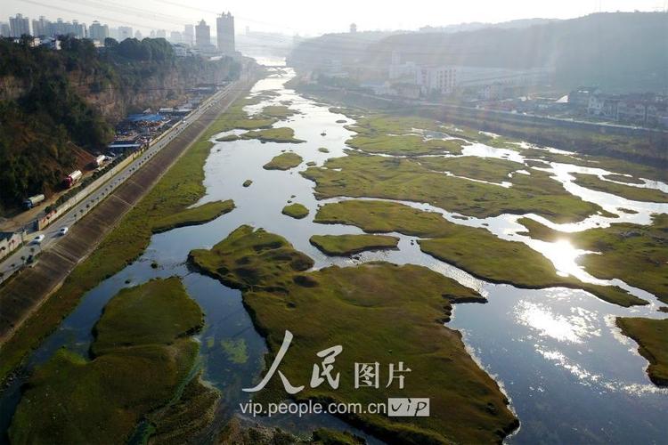 宜昌柏林河湿地公园有公交车去吗？葛洲坝集团项目推迟-图2