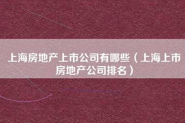 民营地产龙头上市公司？津滨地产项目-图3