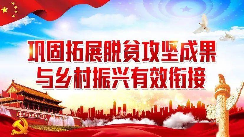 2021年乡镇如何巩固拓展攻坚成果？2018拓展新项目-图2