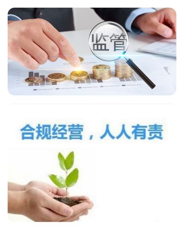 内控合规目的和意义？项目内控的目的-图2